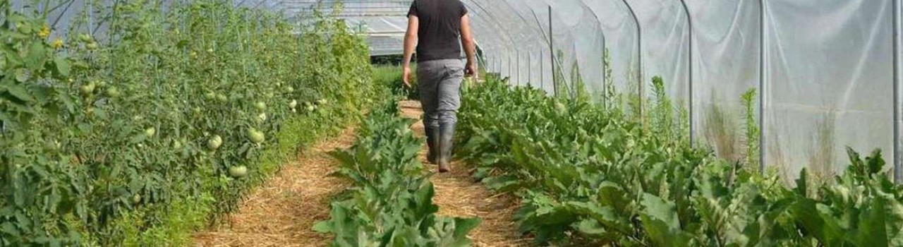 agroeco.jpg